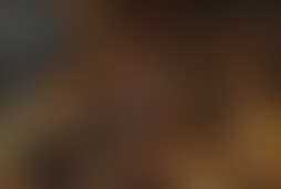 Фотография квеста Совершенно секретно от компании Квест-Гомель (Фото 1)